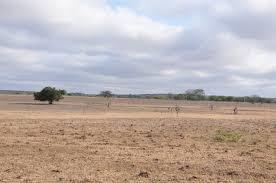 Non Agriculture land at High Access Corridor Dholera SIR  SmartD