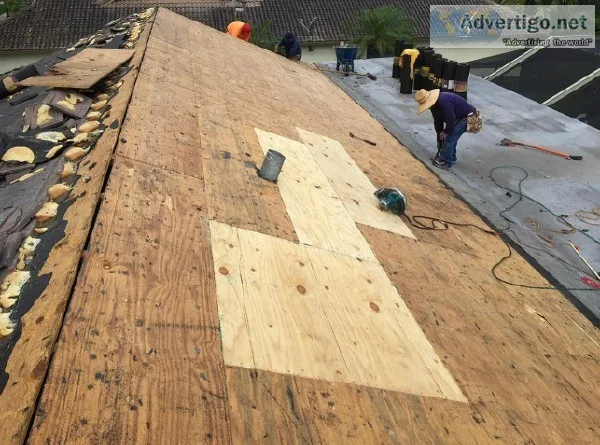 All Roofing Services