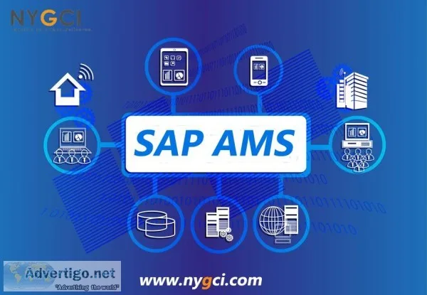 SAP Application Management Services (SAP AMS) Companies In India