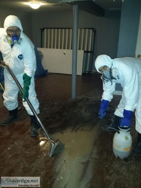Emergency Water Cleanup service in toronto  emergencyfloodservic