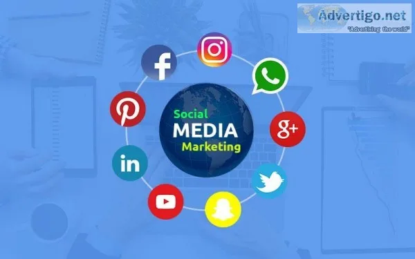 Affordable seo services in USA