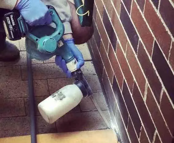 Pest Control Nollamara