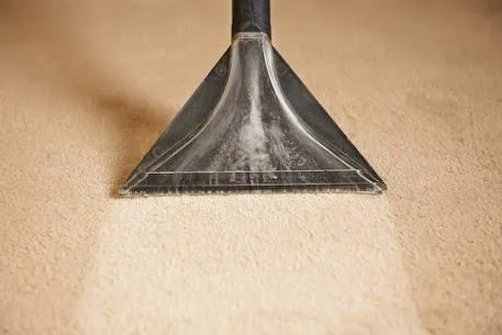 Get Reliable Carpet Cleaning Services