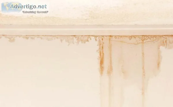 Wall Water Leakage Waterproofing Contractors