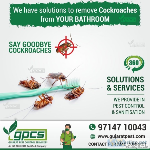 Gujarat pest control services - termite treatment, pest control