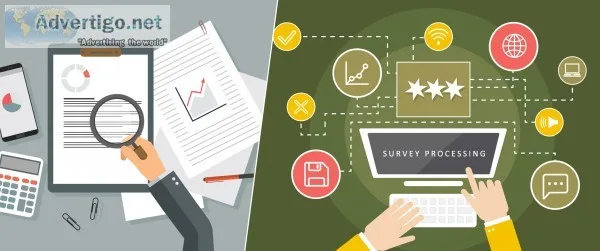 Survey processing services