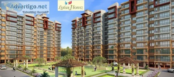 Lotus Homz Affordable Apartment in Gurgaon 111