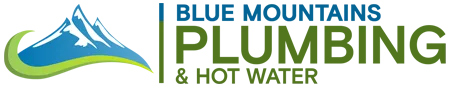 Best Plumbers in Springwood