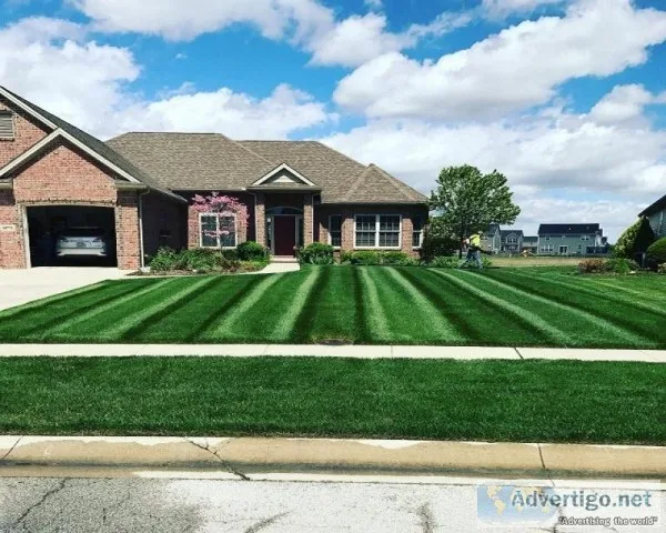 Get Professional Mowing Services