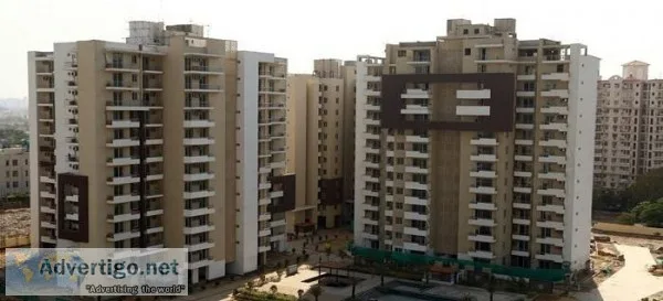 TDI Ourania for Rent on Golf Course Road Gurgaon