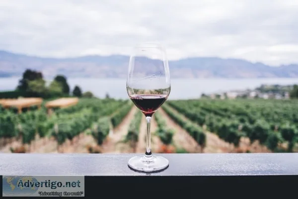 Get paid to drink wine
