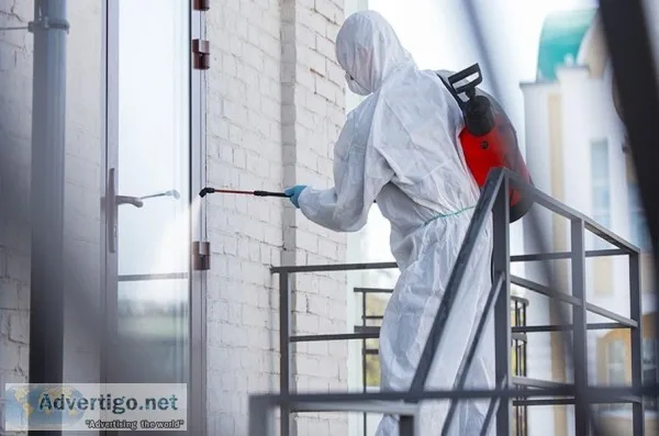 Disinfection and Sanitization Services - Vansanit