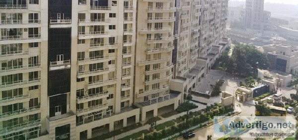 Suncity La Lagune for Rent on Golf Course Road Gurgaon