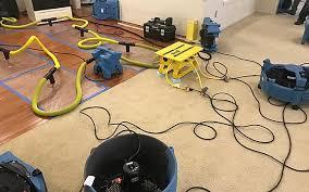 Black Mold Removal in Yakima