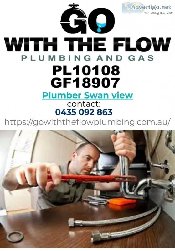 Plumber Swan view