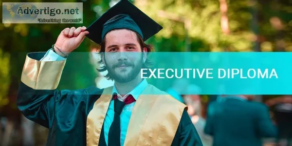 Ibms-executive diploma