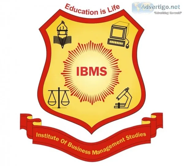 Ibms-executive diploma