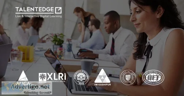 Online Branding Courses