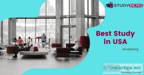 Best Study in USA StudyBerg