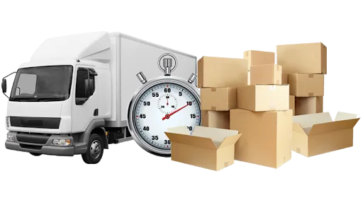 Local Movers in Tampa