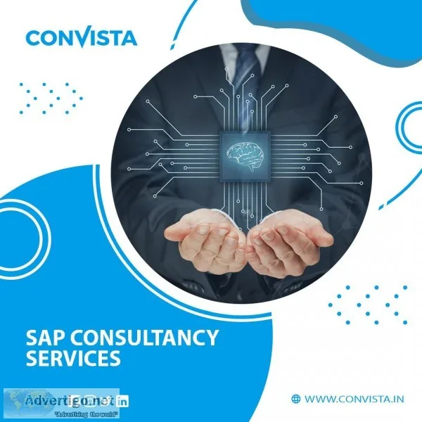 Best sap experts and SAP management consulting