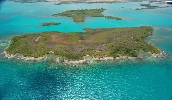 Palmetto Caye Island