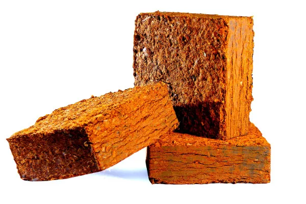 Coco peat suppliers