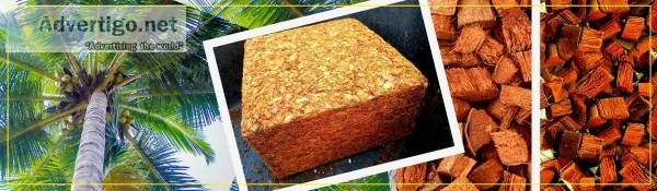 Coco peat suppliers