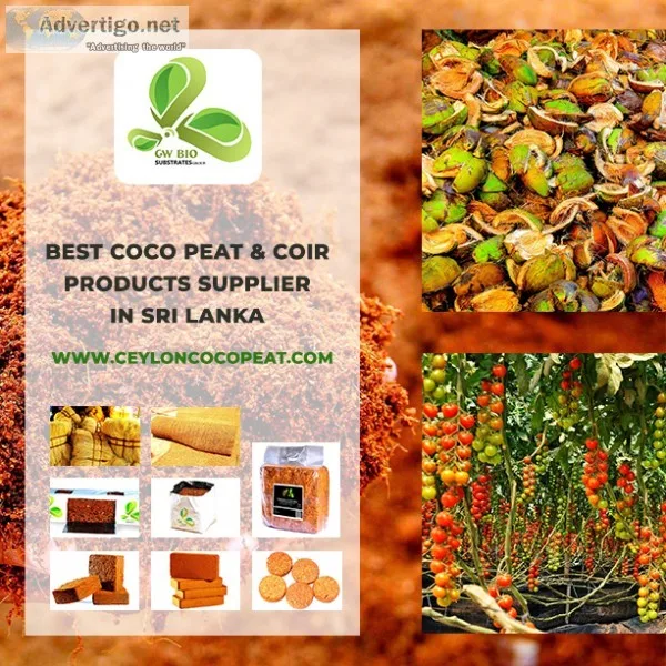 Coco peat suppliers