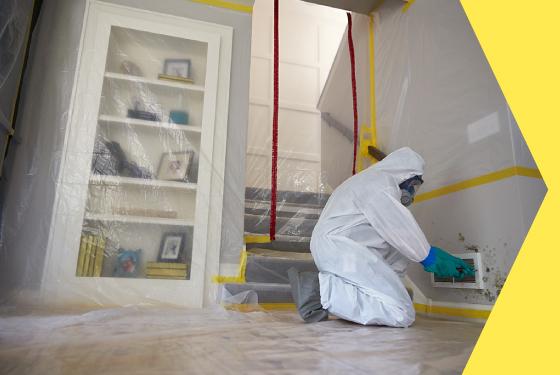 Residential Mold Inspection Service For Safe and Secure Living