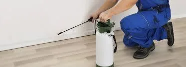 Best spider Control Byron Bay