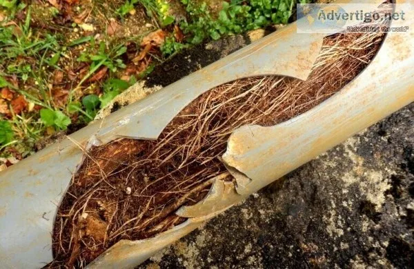 Drain Cleaning and Rooter Services in Colorado Springs Monument 