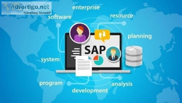 SAP Course- All You Need To Know About
