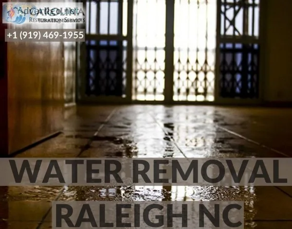 Best Water Removal Service in Raleigh NC