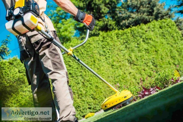 Famous Lawn Care in Sandy Springs  Arbor-Nomics Turf