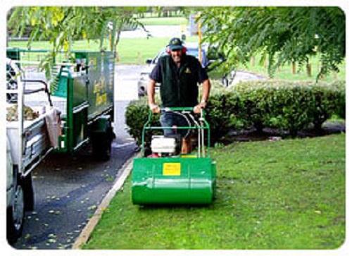 Great Lawn Maintenance Services in Perth