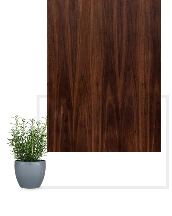 Plywood manufacturing company