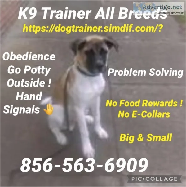 We control k9?s unruly issues 👍
