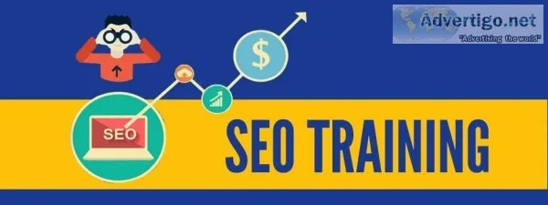 SEO Training