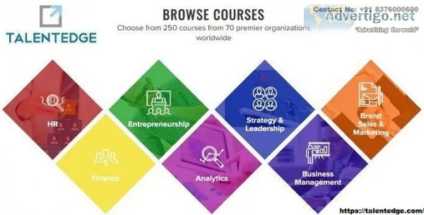 Entrepreneur Training Online