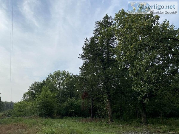22.1 Acres of land for sale in Murfreesboro (275000)