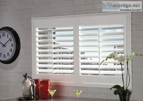 Amp Up Your Plain Windows With the Best Vinyl Shutters!