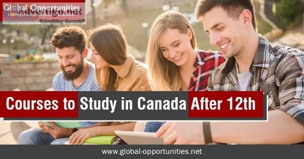 Top Courses to Study in Canada