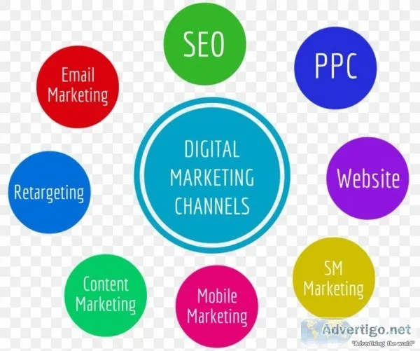 Best Digital Marketing Institute In Noida