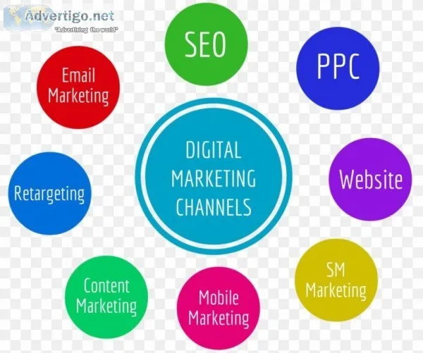 Best Digital Marketing Institute In Karol Bagh