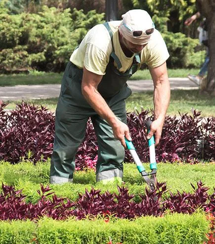 Landscaping and outdoor work