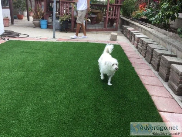 Artificial Grass for Dogs