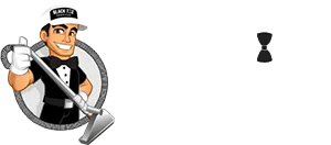 Professional Rug Cleaning&lrm Service