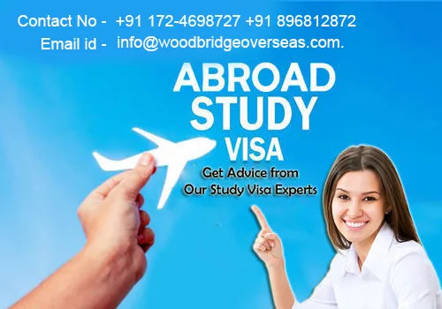 Have a dream to study overseas for higher education