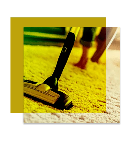 Carpet Cleaning Nicholls